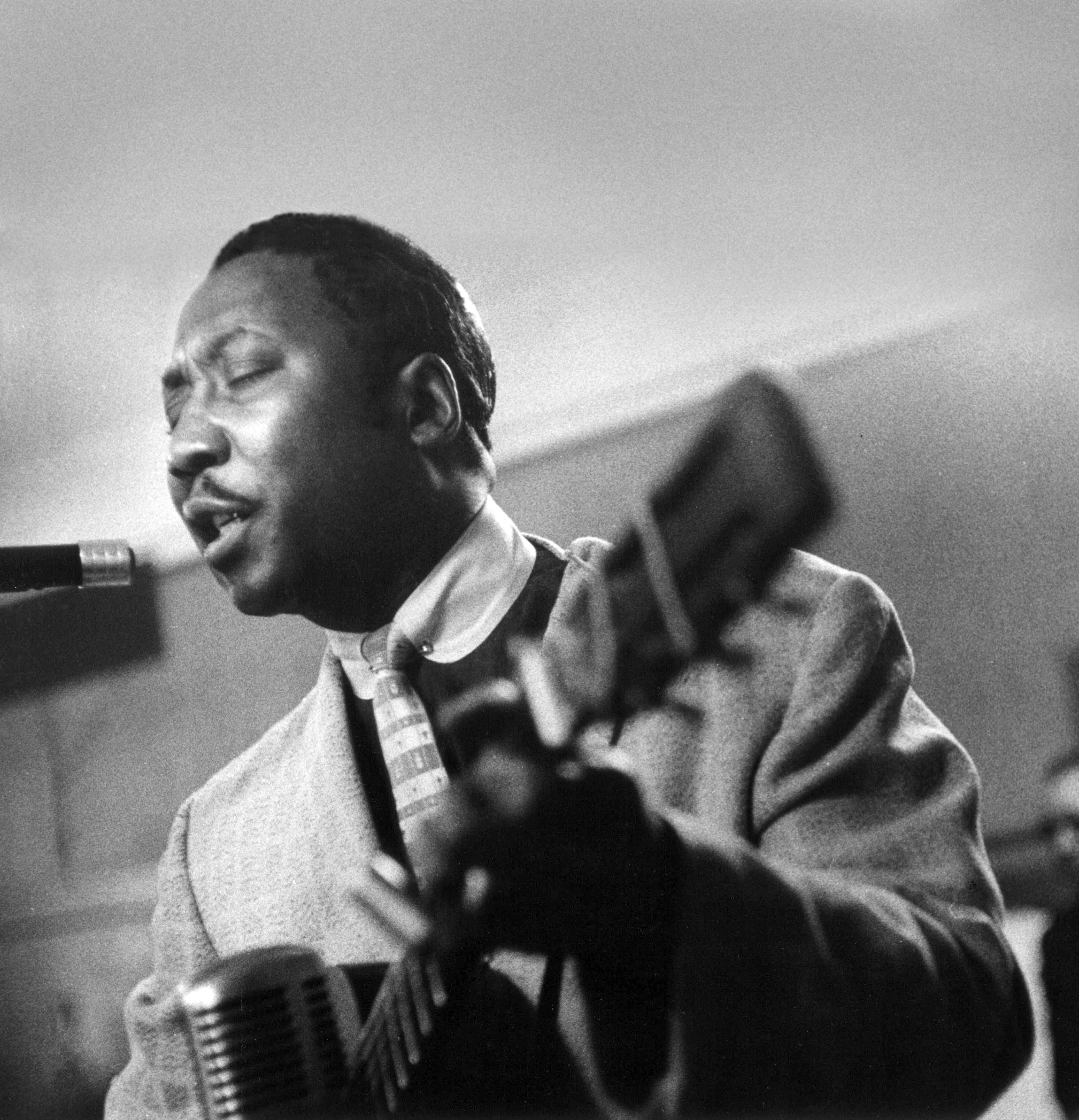 Muddy_Waters.jpg